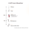 Timeless Care - Image 5